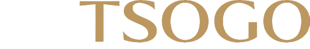 PlayTSOGO